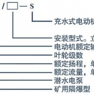 BQ礦用隔爆強(qiáng)排泵